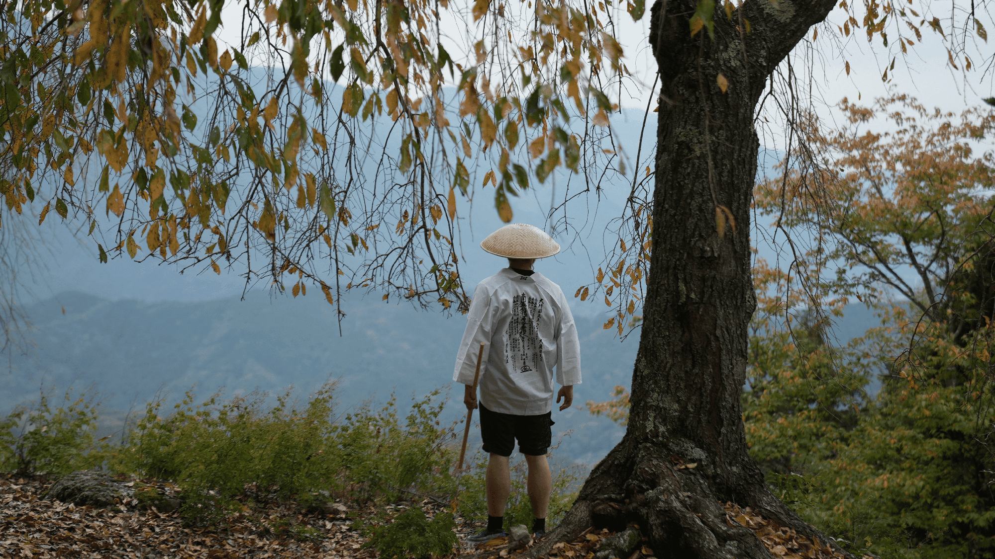 About This Experience