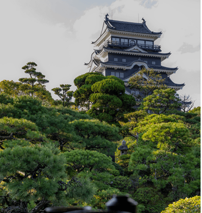 この特別な旅・体験について