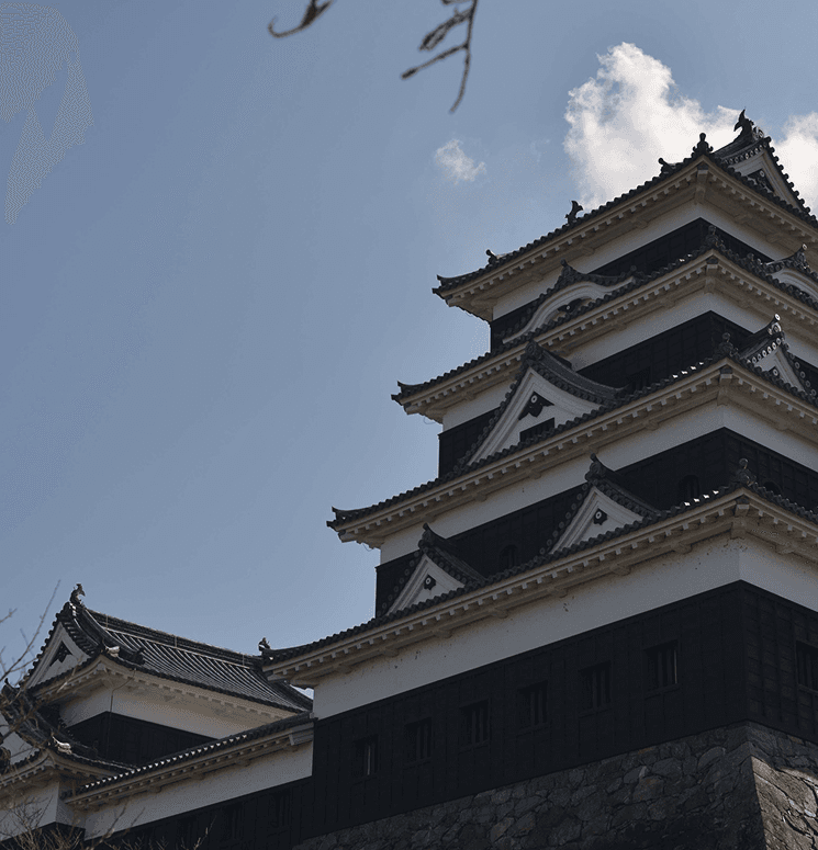 この旅が選ばれる4つの理由