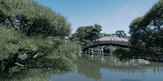 京極の美意識が 息づく庭園での文化体験 2