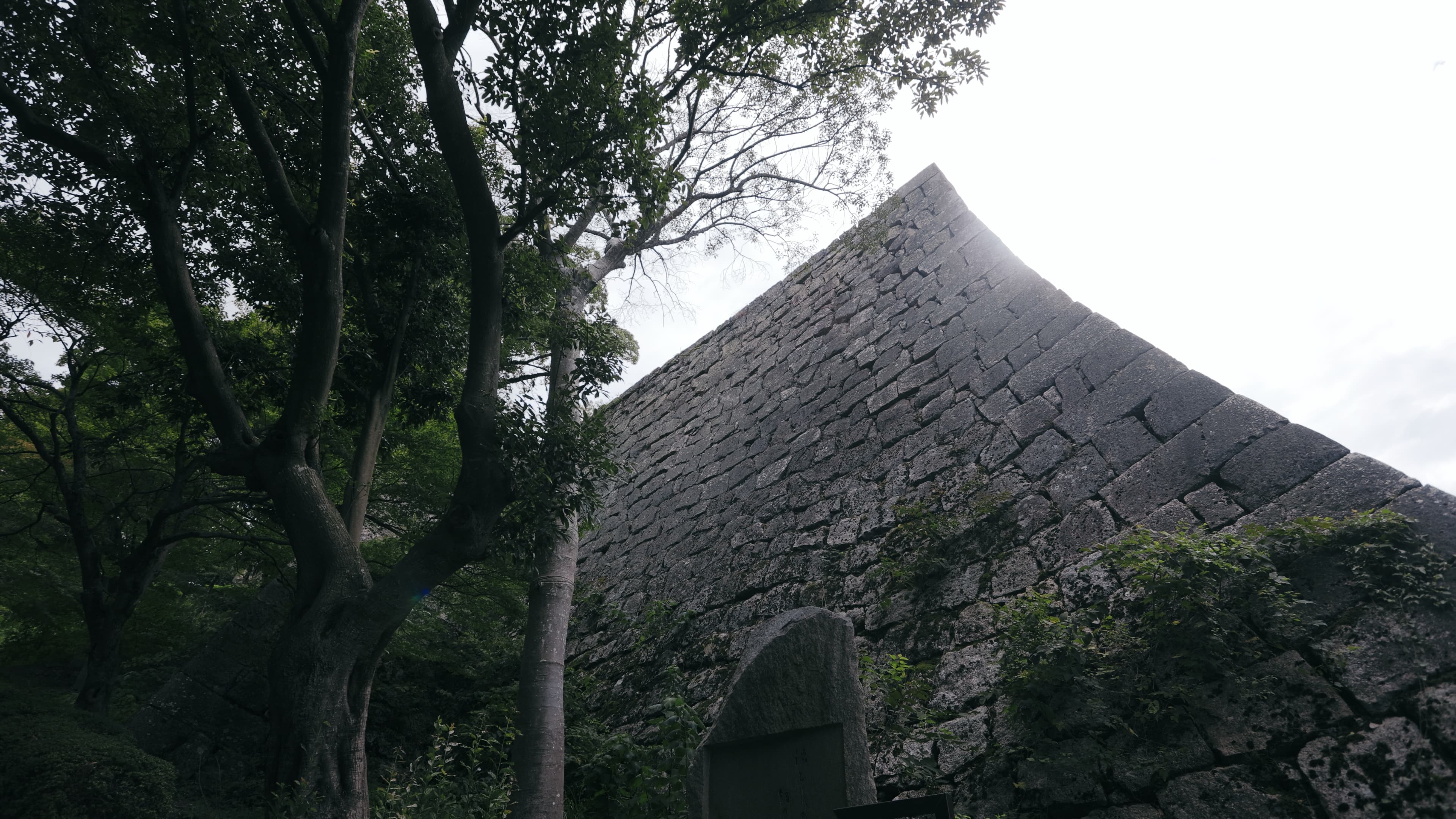 この特別な旅・体験について