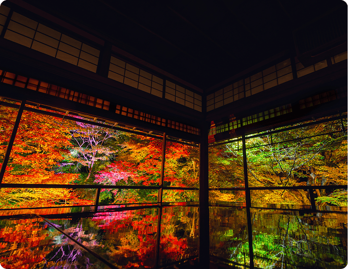 Why 
OMAKASE TRAVEL BOXES?