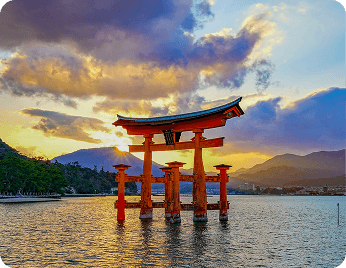 Why 
OMAKASE TRAVEL BOXES?