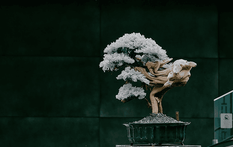 Bespoke Full-Custom Commissions