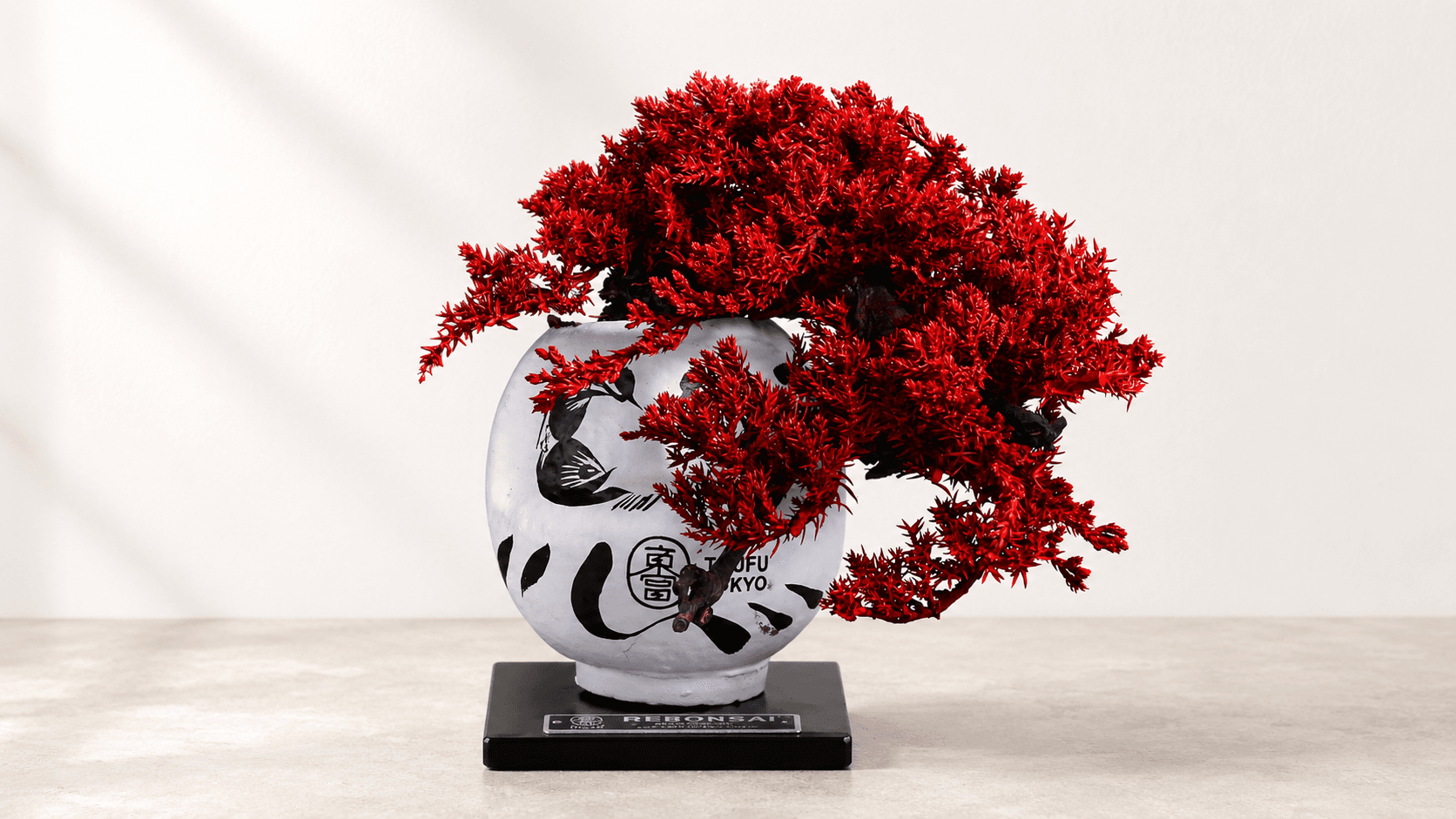 RE BONSAI™ Daruma