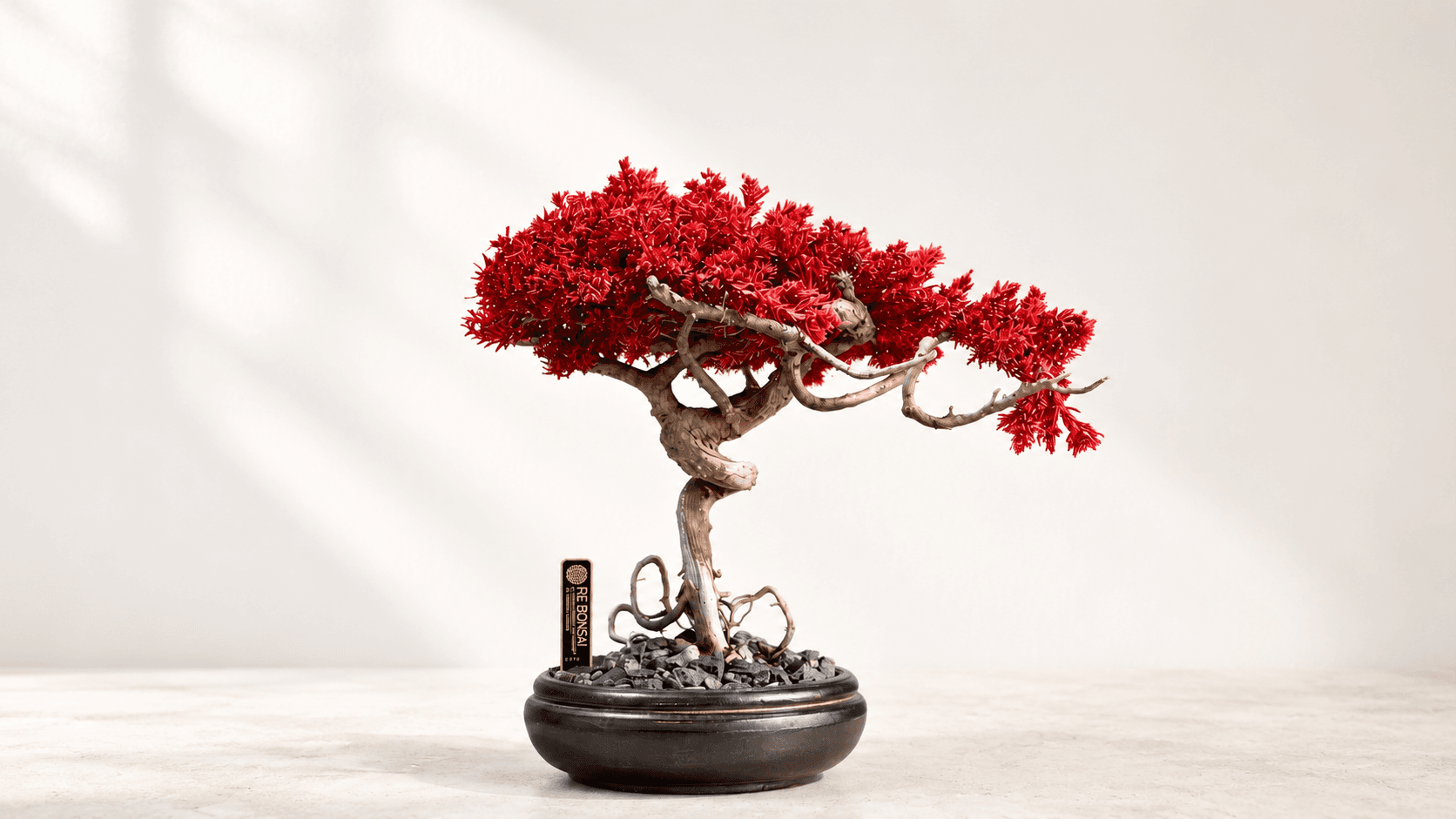 RE BONSAI™ L