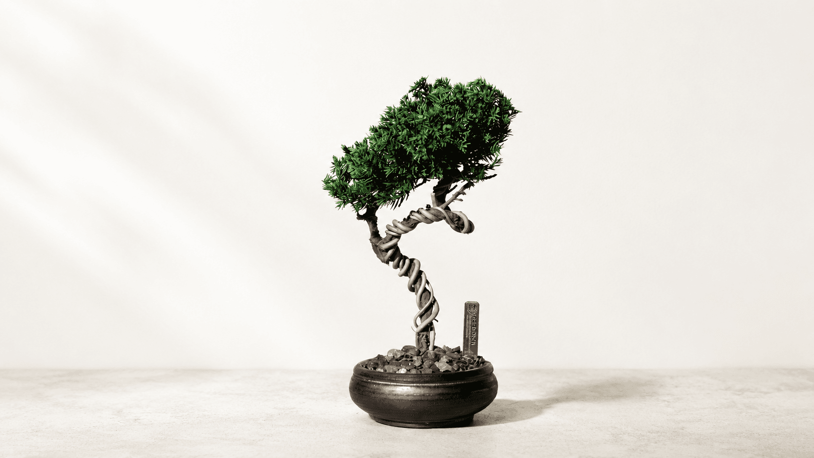 RE BONSAI™ M