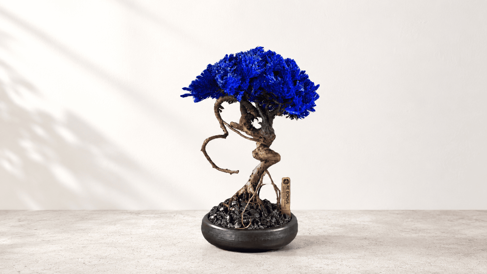 RE BONSAI™ S