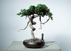 Artist Creations