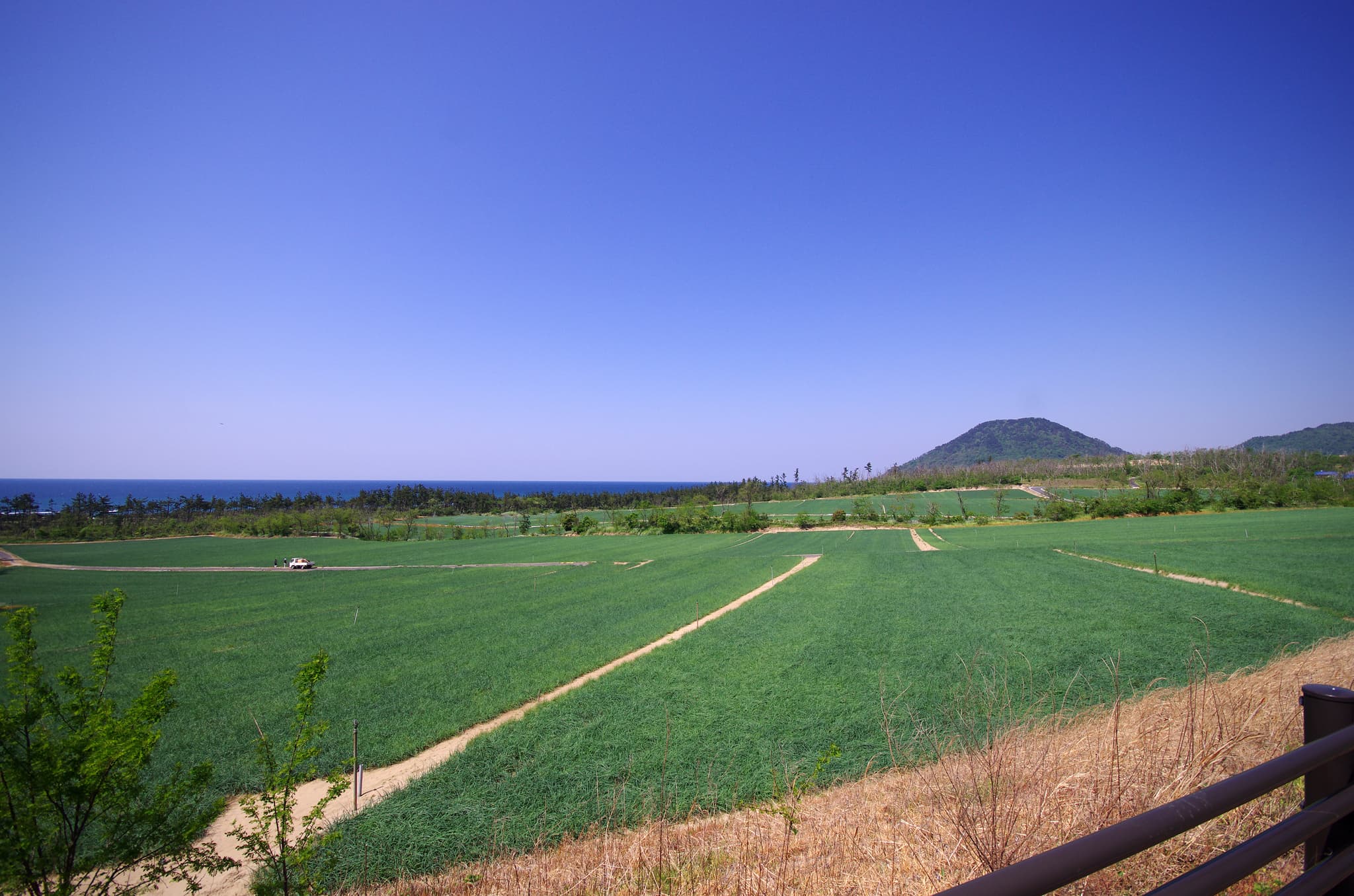 What is the Rakkyo Field Ownership?
