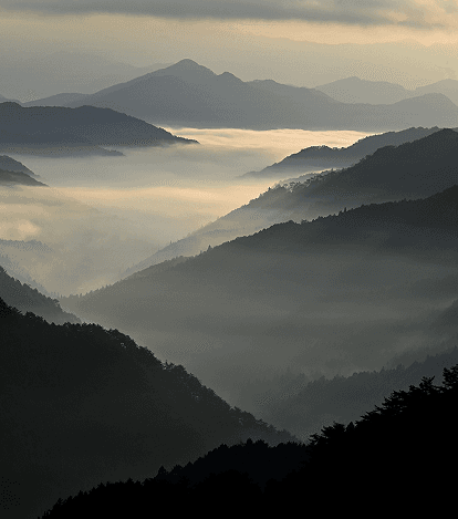 KOYASAN MYSTERIOUS RETREAT EXPERIENCE