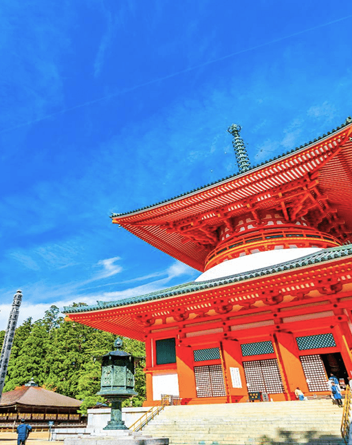 この特別な旅・体験について