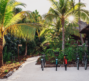 アウトドア・アクティビティ