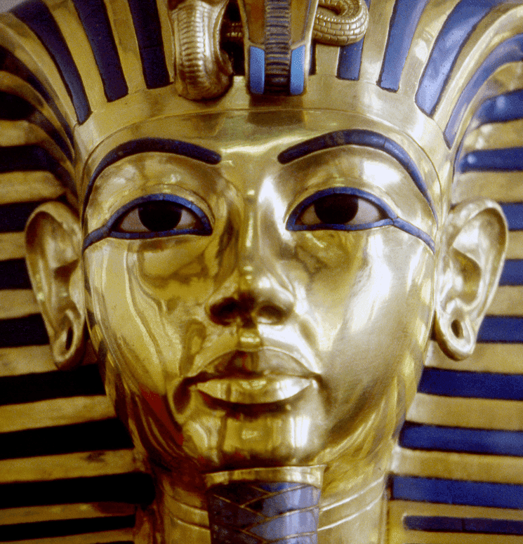 この旅が選ばれる4つの理由